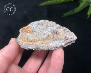 Kutnohorite Specimen #6