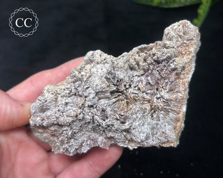 Kutnohorite Specimen #1