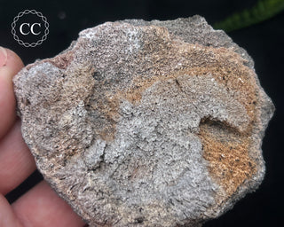 Kutnohorite Specimen #6