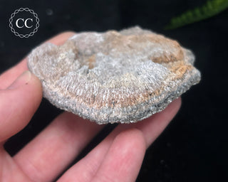 Kutnohorite Specimen #6