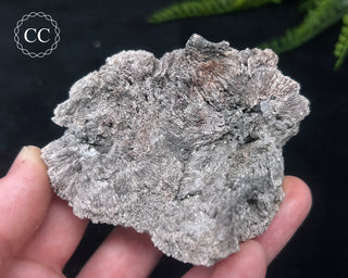 Kutnohorite Specimen #7