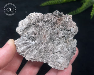 Kutnohorite Specimen #7