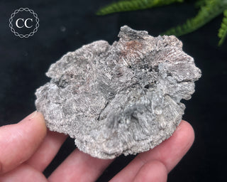 Kutnohorite Specimen #7