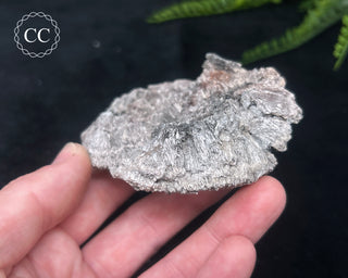 Kutnohorite Specimen #7