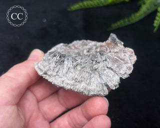 Kutnohorite Specimen #7