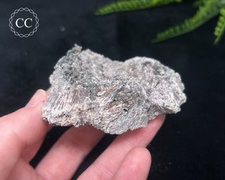 Kutnohorite Specimen #7