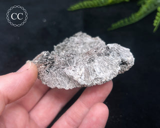 Kutnohorite Specimen #7