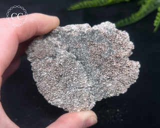 Kutnohorite Specimen #7