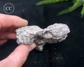 Kutnohorite Specimen #7