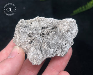 Kutnohorite Specimen #8