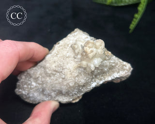 Kutnohorite Specimen #1