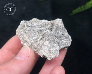 Kutnohorite Specimen #8