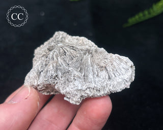 Kutnohorite Specimen #8