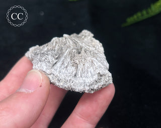 Kutnohorite Specimen #8