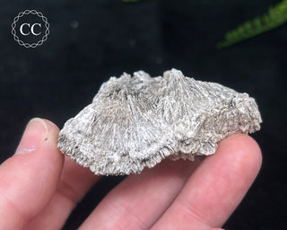 Kutnohorite Specimen #8
