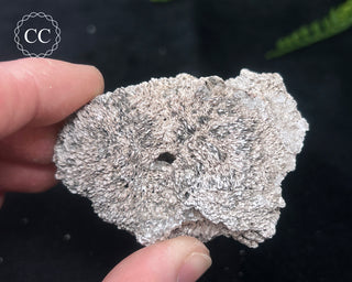 Kutnohorite Specimen #8