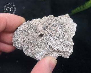 Kutnohorite Specimen #8