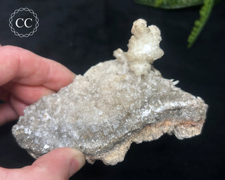 Kutnohorite Specimen #1