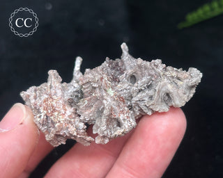 Kutnohorite Specimen #9