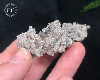 Kutnohorite Specimen #9