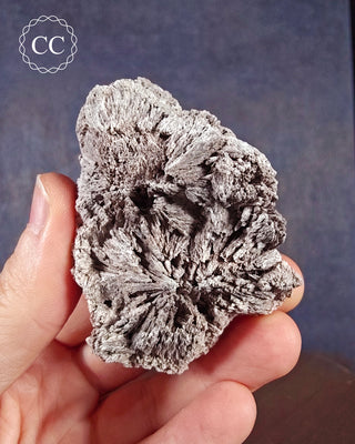 A hand holding a Kutnohorite specimen from Chihuahua, Mexico
