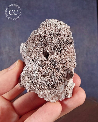 Kutnohorite Specimen #8