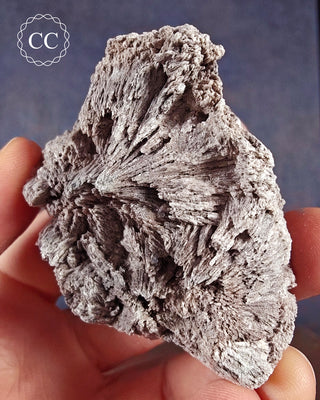 Kutnohorite Specimen #8