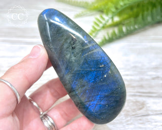 Labradorite Chunky Palm Stone #6