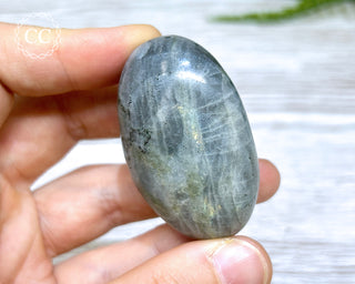 Labradorite Chunky Palmstone #13