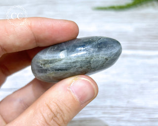 Labradorite Chunky Palmstone #13