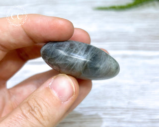 Labradorite Chunky Palmstone #14