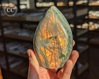 Sunset Labradorite Freeform #6