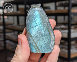 Labradorite Freeform #37