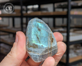 Labradorite Freeform #37