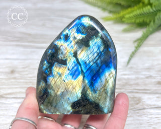 Labradorite Freeform #12