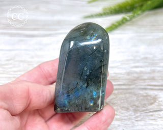 Labradorite Freeform #22