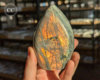 Sunset Labradorite Freeform #6