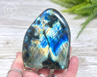 Labradorite Freeform #12