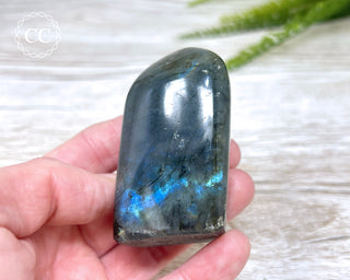 Labradorite Freeform #22