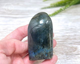 Labradorite Freeform #22