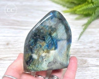 Labradorite Freeform #12