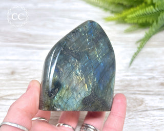 Labradorite Freeform #12