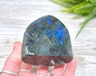 Labradorite Freeform #12