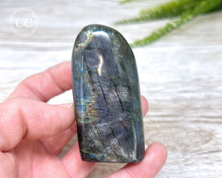 Labradorite Freeform #22