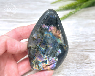 Labradorite Freeform #23
