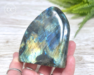 Labradorite Freeform #12