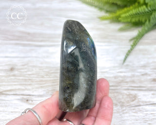 Labradorite Freeform #12
