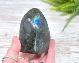 Labradorite Freeform #12