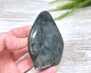 Labradorite Freeform #23