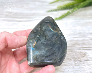 Labradorite Freeform #23